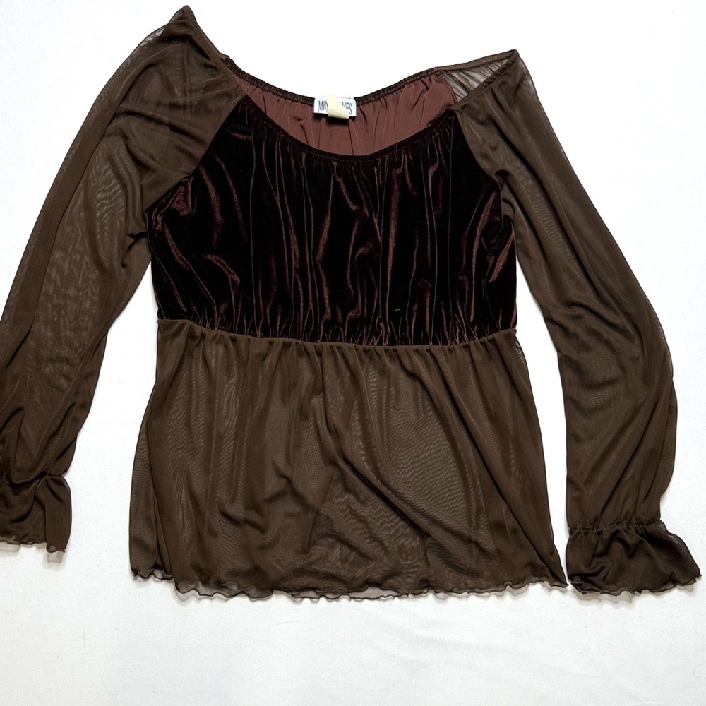 Vintage Brown Sheer Velvet Long Sleeve Top Size 2XL Whimsy Goth Y2K